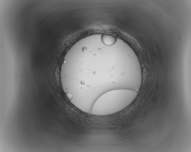 X0000116590966200912101328