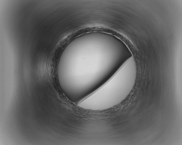 X0000116590967200912101328