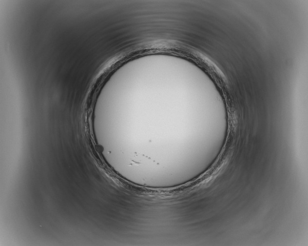 X0000116590970200912101328