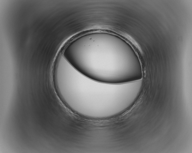 X0000116590972200912101328
