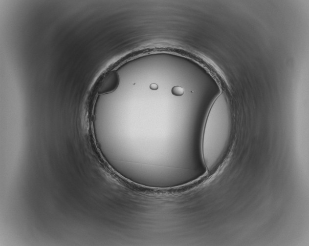 X0000116590973200912101328