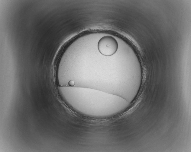 X0000116590974200912101328
