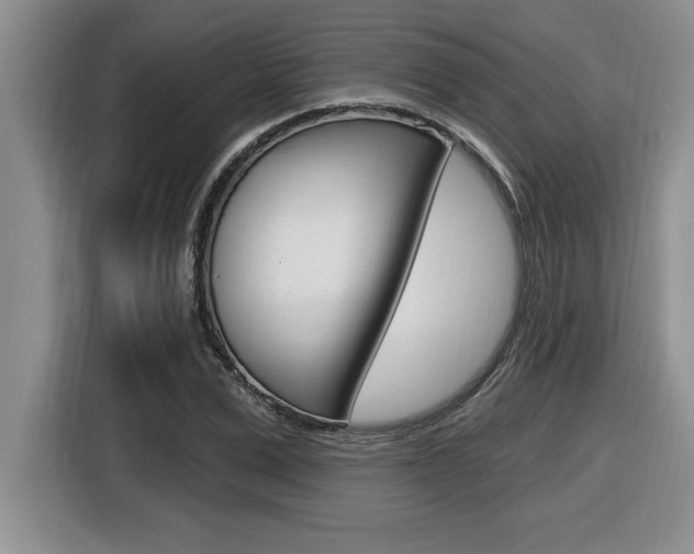 X0000116590975200912101328
