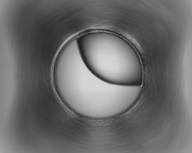 X0000116590976200912101328