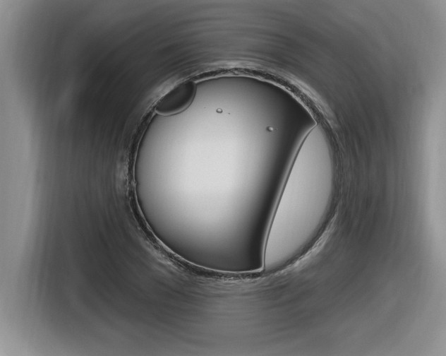 X0000116590977200912101328