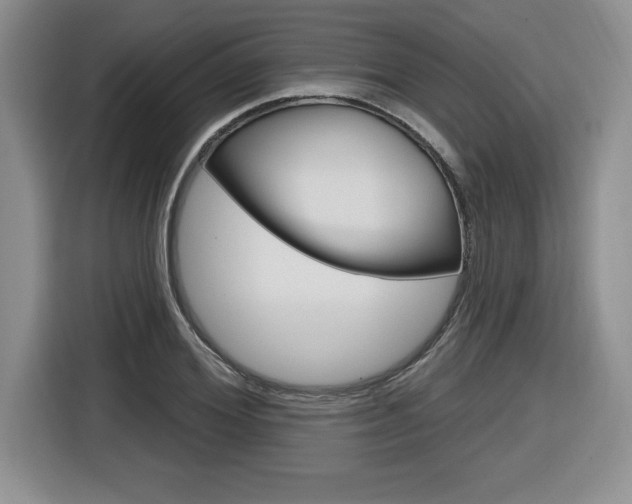 X0000116590980200912101328