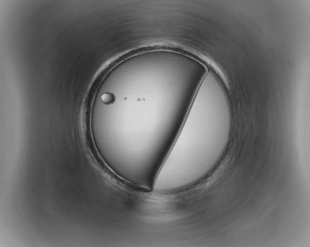 X0000116590983200912101328