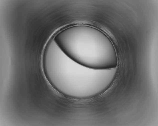 X0000116590984200912101328