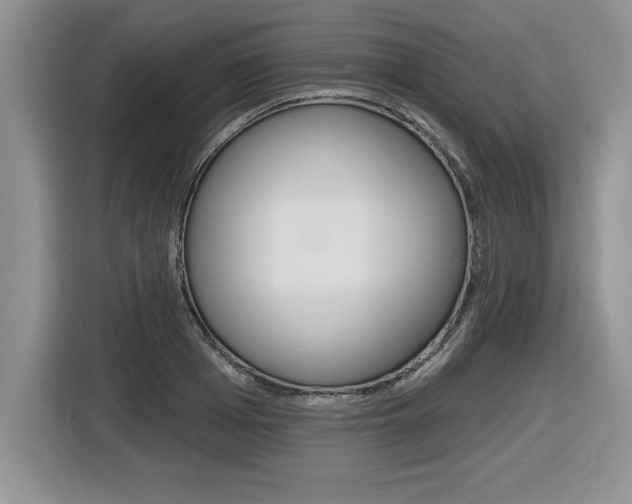 X0000116590985200912101328