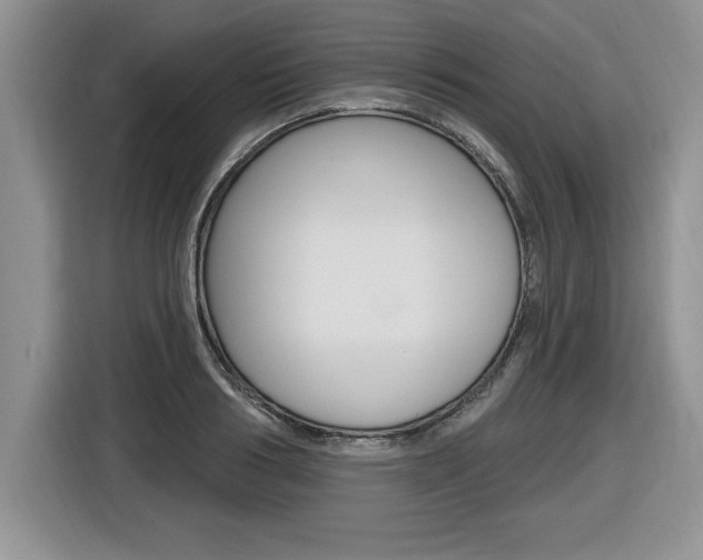 X0000116590986200912101328