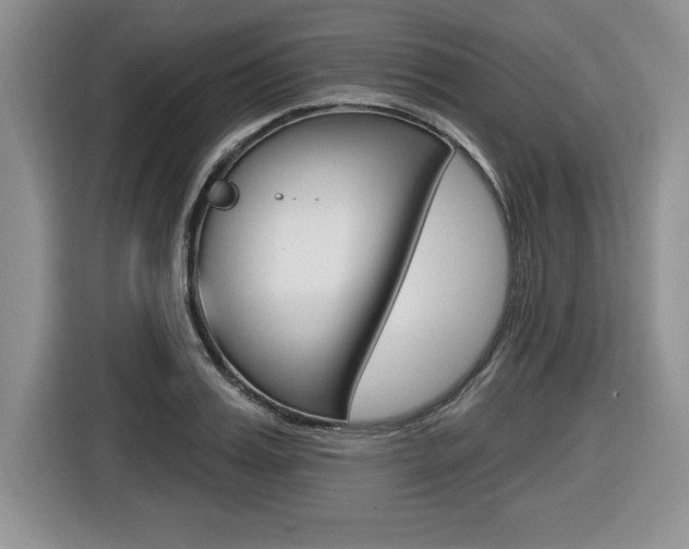 X0000116590987200912101328