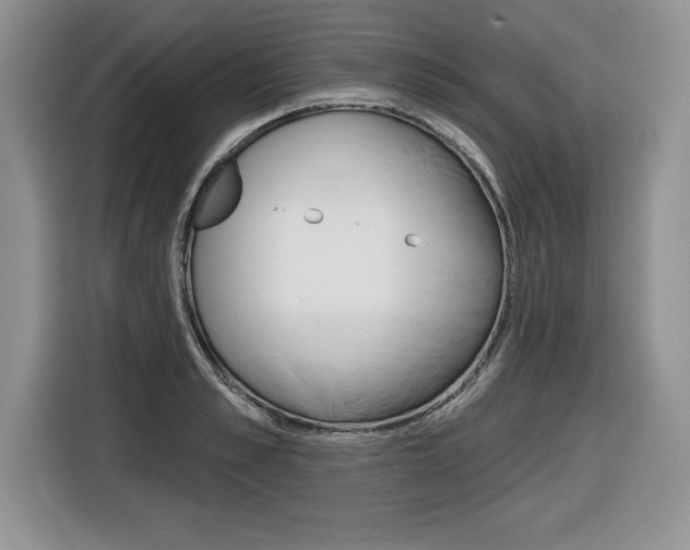 X0000116590989200912101328
