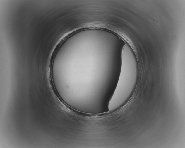 X0000116590992200912101328