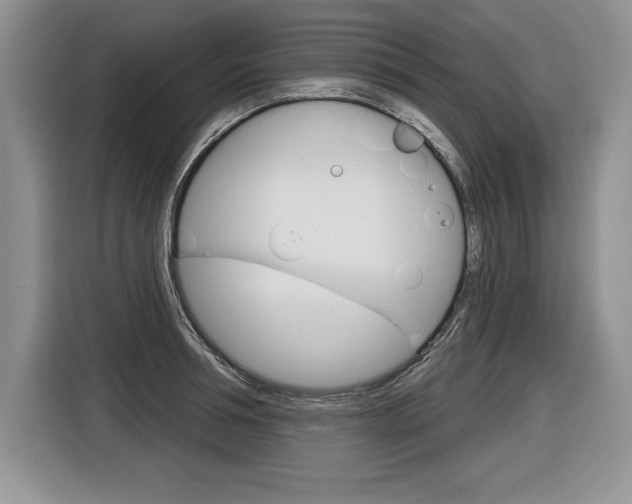 X0000116590994200912101328