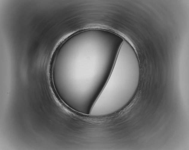 X0000116590995200912101328