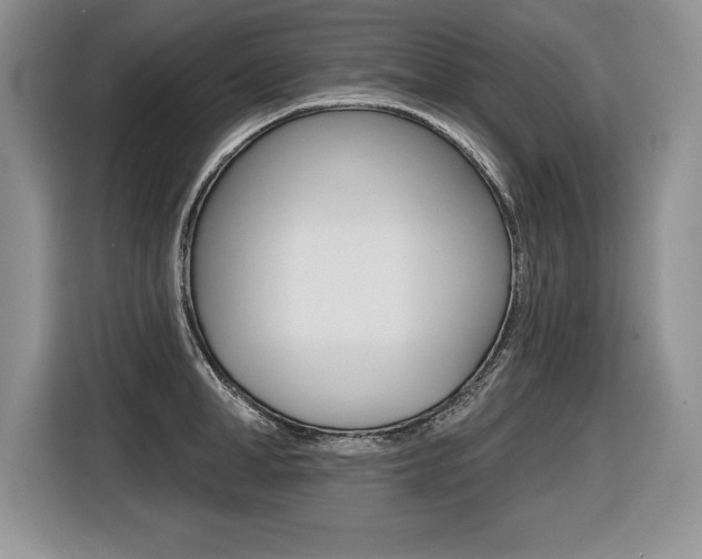 X0000116590998200912101328