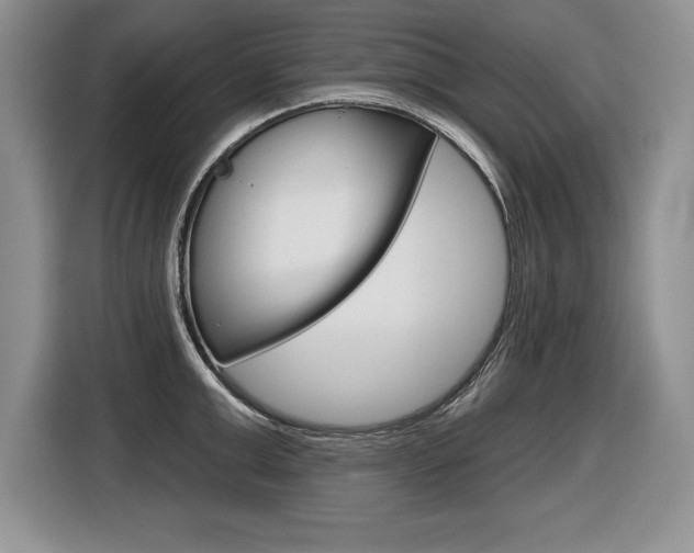 X0000116590999200912101328