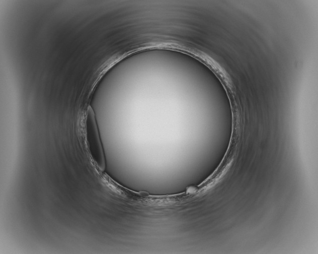 X0000116591001200912101328