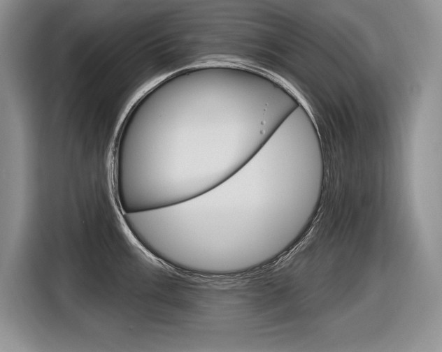 X0000116591003200912101328