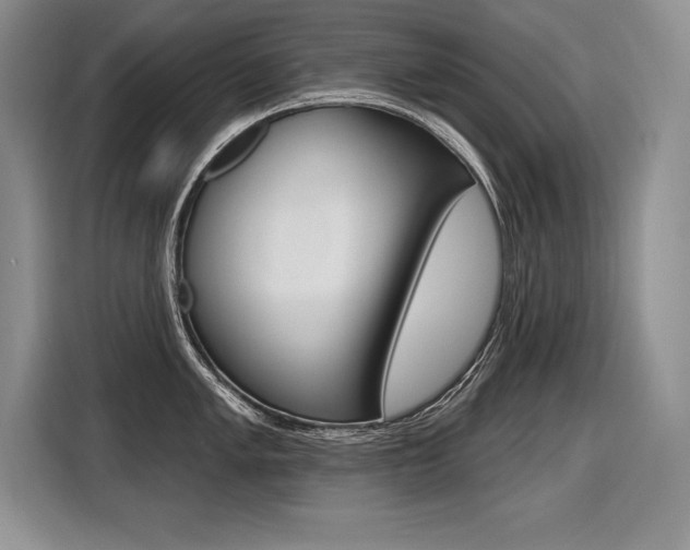 X0000116591005200912101328