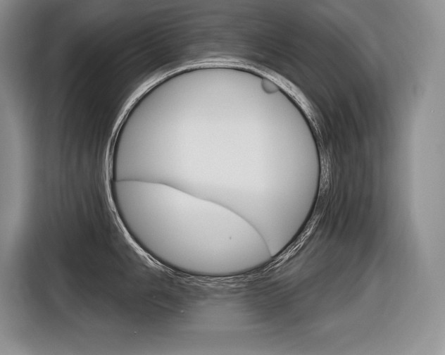 X0000116591006200912101328
