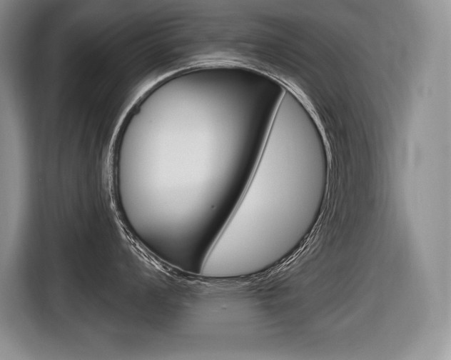 X0000116591008200912101328