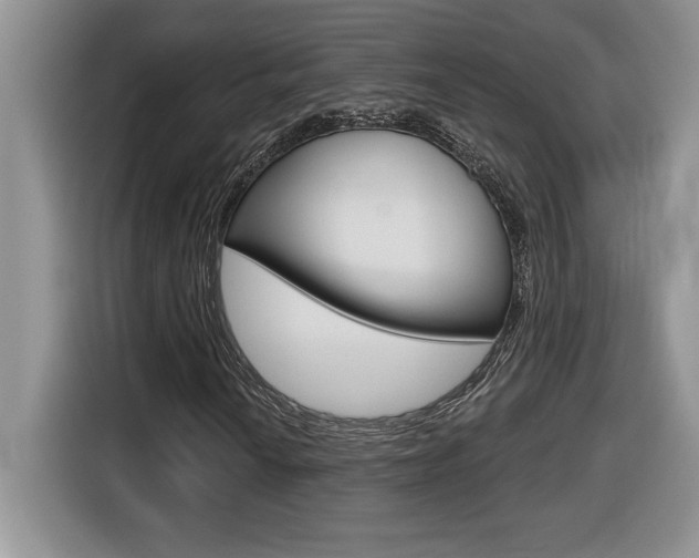 X0000116591010200912101327