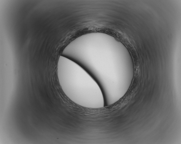 X0000116591012200912101327