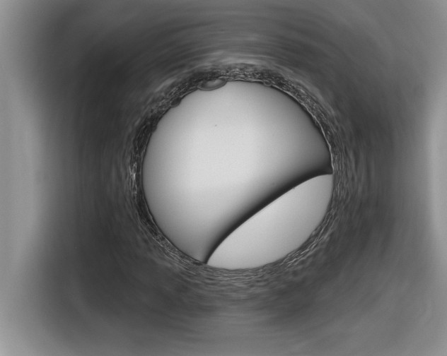X0000116591013200912101327