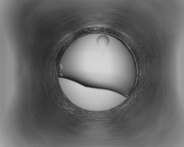 X0000116591014200912101327