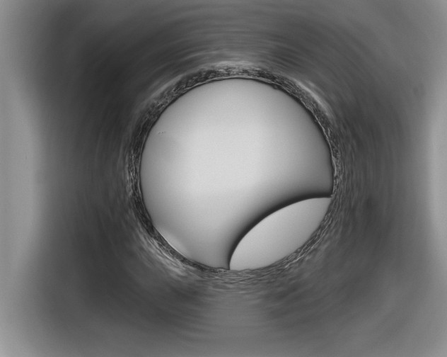 X0000116591015200912101327
