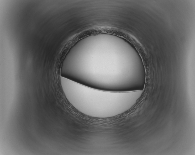 X0000116591016200912101327