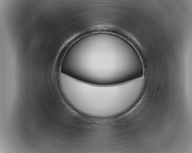 X0000116591018200912101327