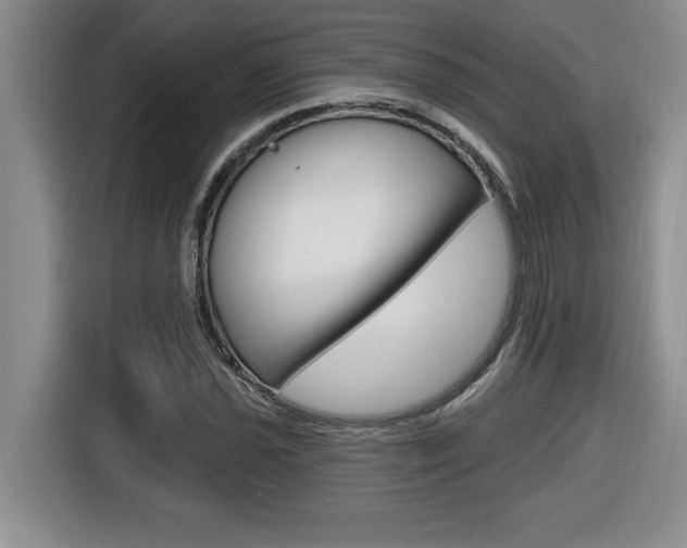 X0000116591021200912101327