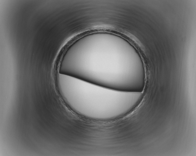 X0000116591022200912101327