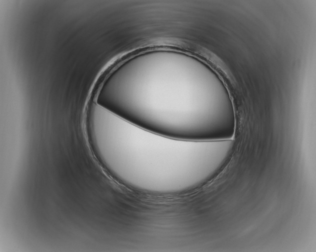 X0000116591024200912101327