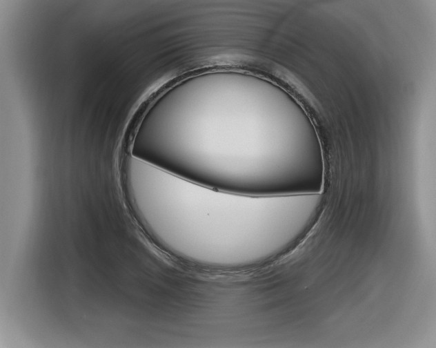 X0000116591026200912101327