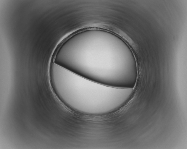 X0000116591028200912101327