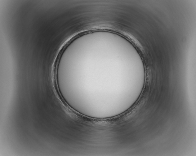 X0000116591031200912101327