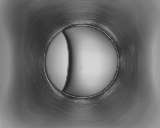 X0000116591033200912101327