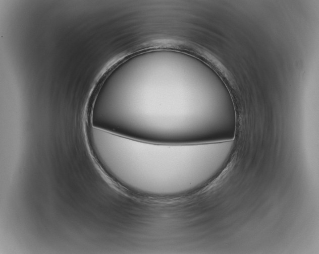 X0000116591034200912101327