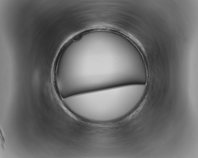 X0000116591037200912101327