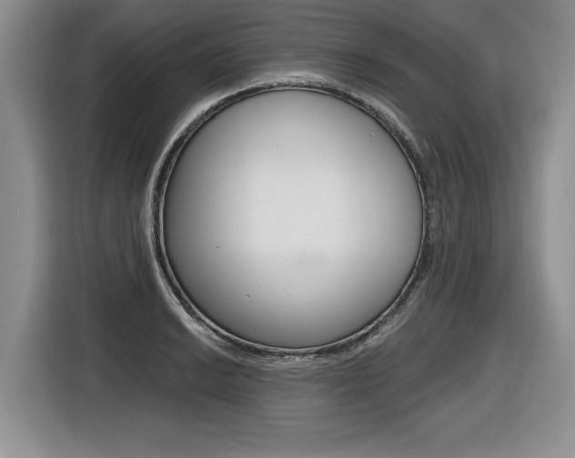 X0000116591038200912101327