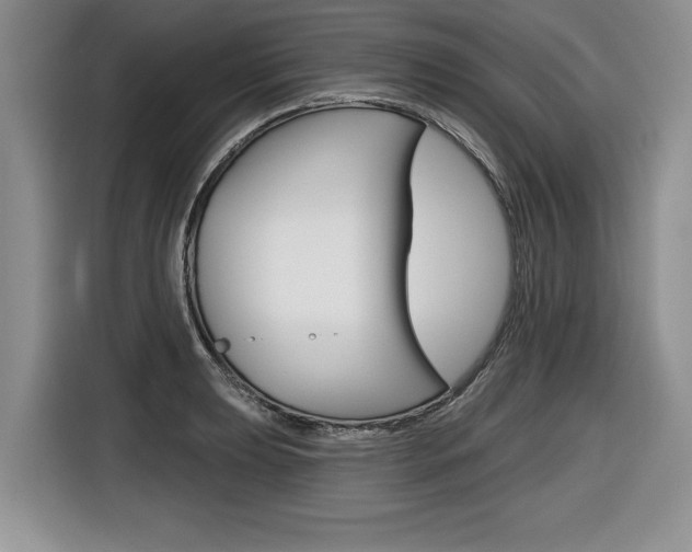 X0000116591039200912101327