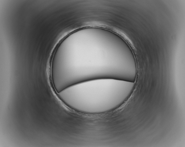 X0000116591040200912101327