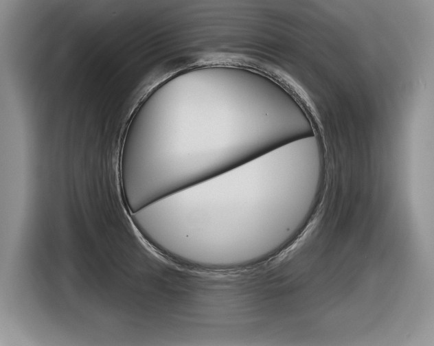 X0000116591041200912101327