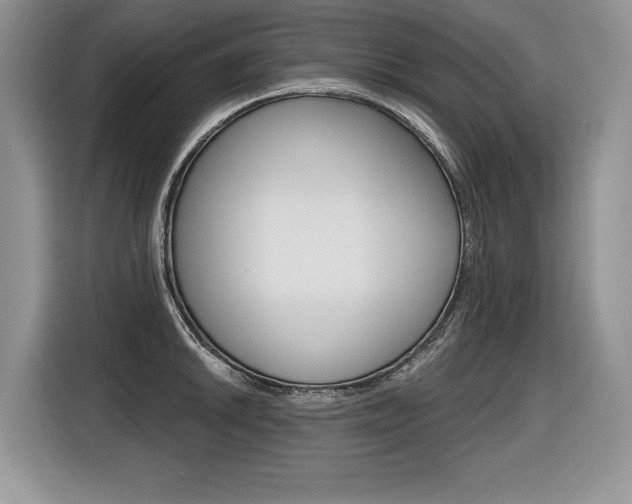 X0000116591046200912101328