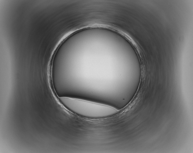 X0000116591048200912101328