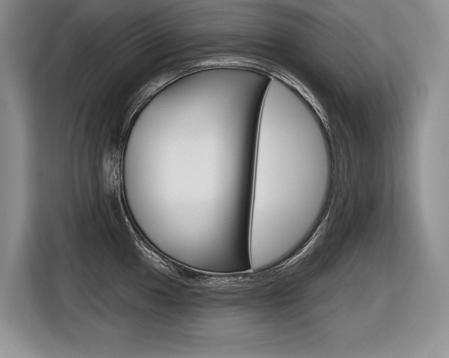 X0000116591049200912101328
