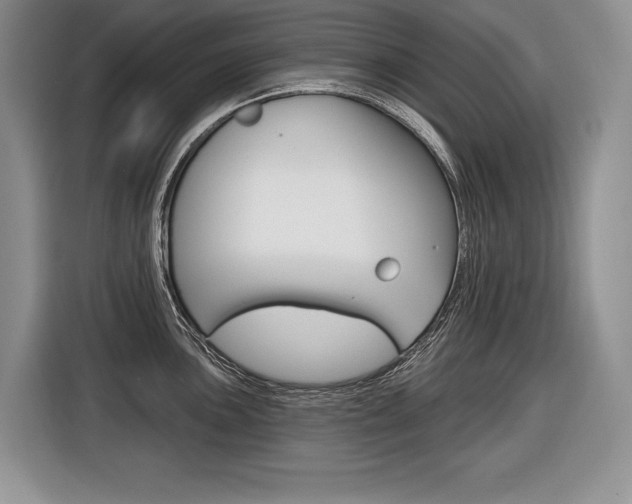 X0000116591051200912101328